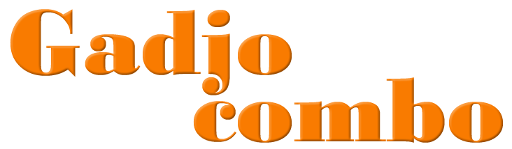 Logo gadjo combo